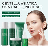 Centella Asiatica skin care set with a model and product display on a light gray background