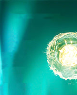 Close-up of a fertilized egg with a bright light source on a green background